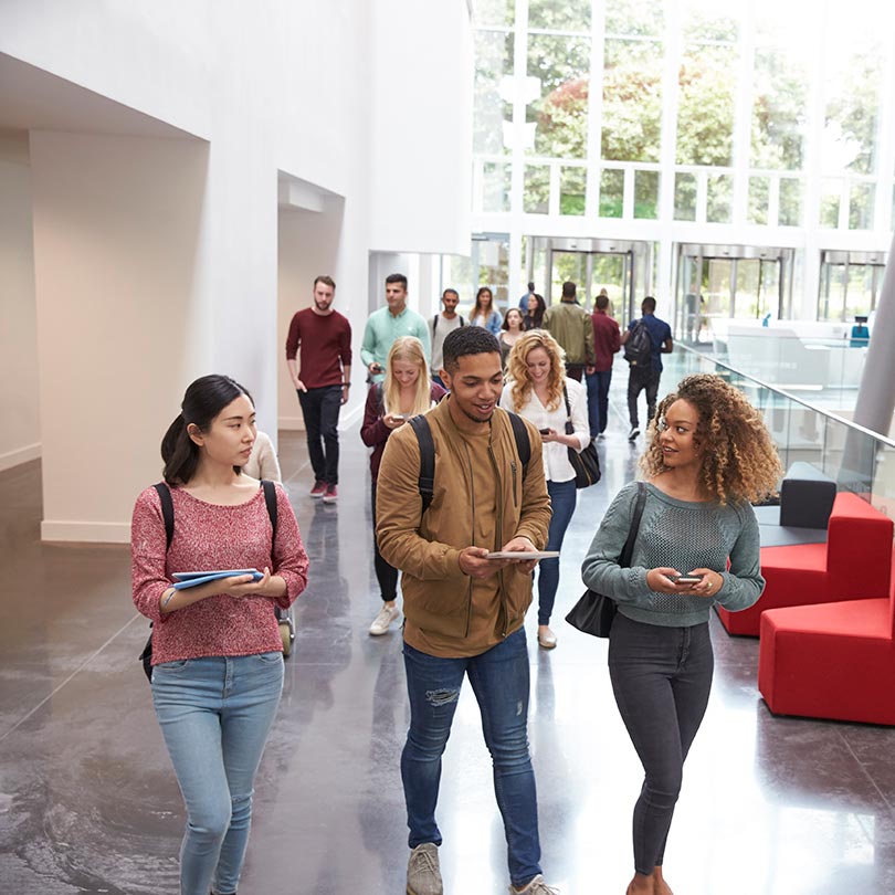 Students in university building 